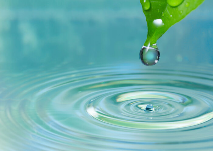 Green leaf with water drop